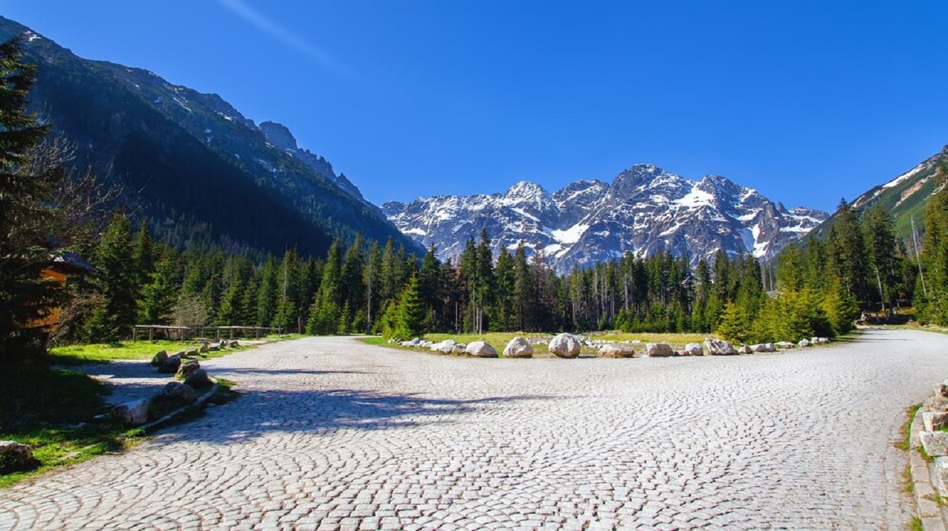 Travel Agent in Andaman, Travel Agent in Port Blair